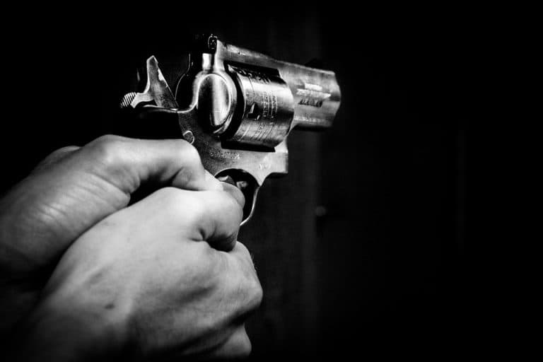 a hand holding a gun
